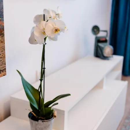 Apartment Danmar Faleza *